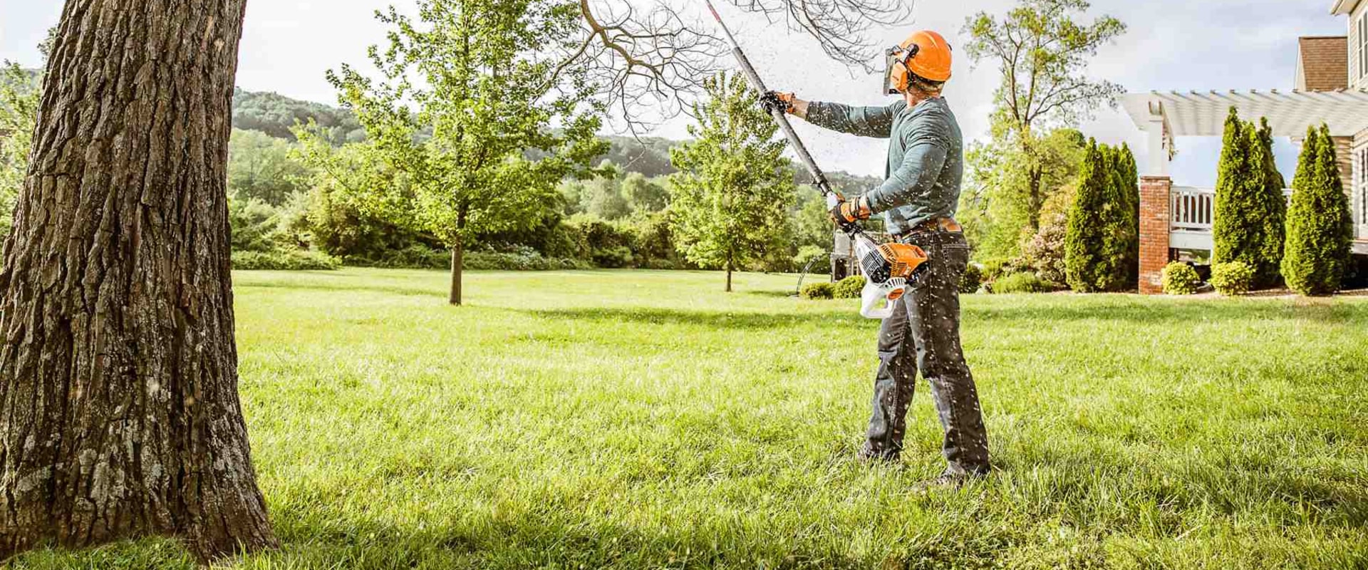 what-does-trimming-a-tree-mean