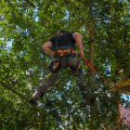 Top Benefits Of Hiring An Emergency Tree Service For Tree Pruning In Oregon City, OR