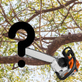 Why Choose Professional Tree Pruning? A Kalamazoo Company's Perspective On Health And Safety