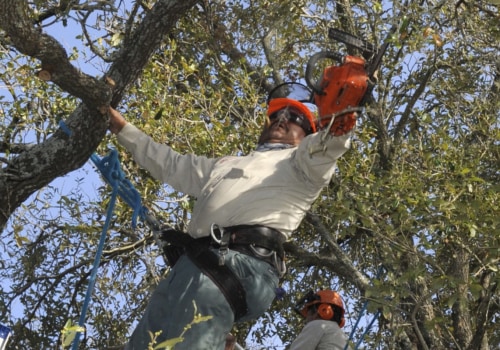 Who trims trees?