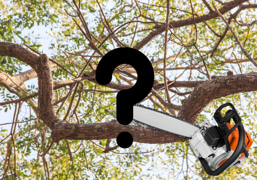 Why Choose Professional Tree Pruning? A Kalamazoo Company's Perspective On Health And Safety